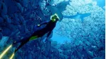 Tải ngay Abzu game phiêu lưu khám khá đại dương cực hay đang miễn phí 