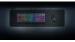 Đánh giá chuột gaming giá rẻ Razer Abyssus Essential