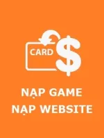 Dịch vụ website CN, game PC Trung Quốc 
