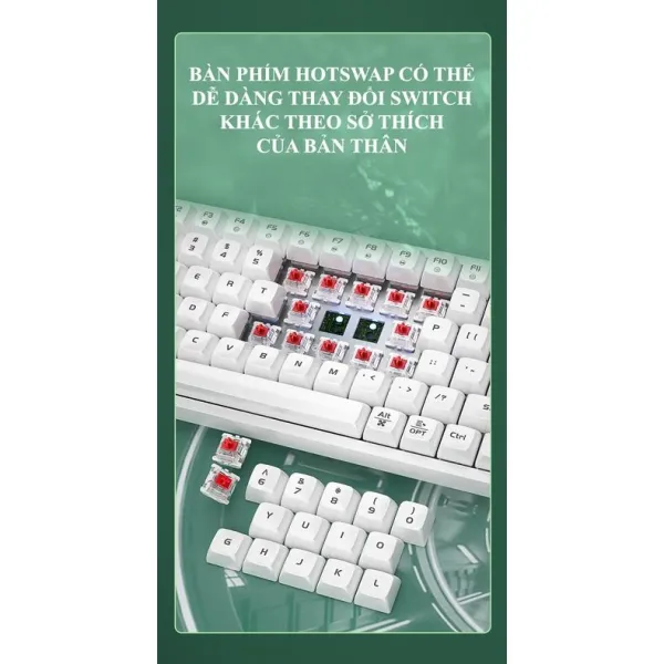 bn phm c red switch golden langtu gk85 kt ni c dy nhiu ch  n led cc p v c hotswap c th thay switch _ shopee vit nam.sg-11134201-22100-wh6y5jd9mviv830