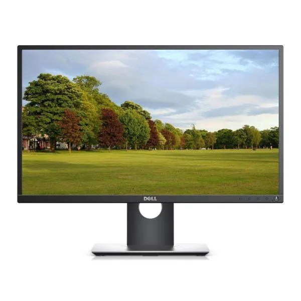 Màn hình Dell P2417H 23.8Inch LED IPS (Đã qua sử dụng)