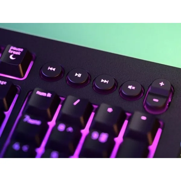 razer_cynosa_v2__310